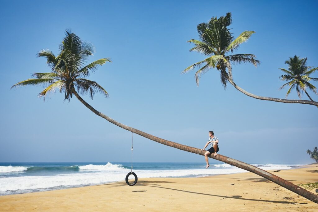 Why Should Sri Lanka Be In Your 2026 Bucket List
